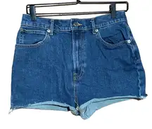 Everlane The Way High‎ Denim Short Size 28