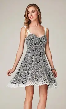 Anthropologie MIGNON black white lace short party dress size 8