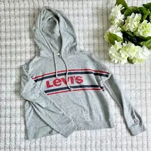Levi’s Gray Stripe Hoodie