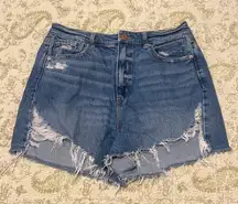 Outfitters High Rise Mom Shorts