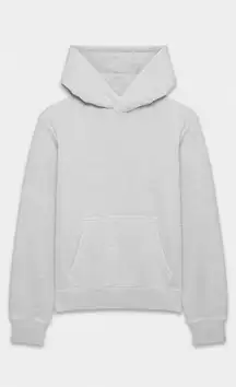 Aritzia TNA Cozy Fleece Hoodie