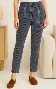 NWT equipment 100% silk Soren pants blue and white vertical pinstripe