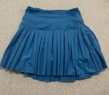Blue Gold Hinge Skirt