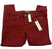 Just USA SIZE 12 Hanna High Rise Skinny Jean - Stitch Fix "Spice" Colored Pants