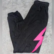 Aviator Nation Joggers