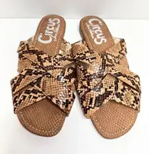 Sam Edelman Sandals Womens Size 6‎ Snakeskin Circus Burnett Slip On Shoes