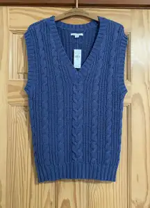 American Eagle Purple  Sweater Vest