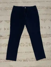 Loft Navy Dress Pants