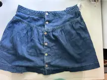 American Eagle Outfitters Skirt Denim
