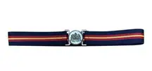 Ralph Lauren Blue and Red Striped Belt with Silver Buckle