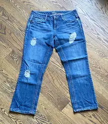 Vanity Blue Distressed Capri Jeans