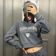 Spring Valley Gray Cropped Sweatshirt