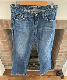 American Eagle Y2K Favorite Boyfriend Flare Jeans size 10 Vintage