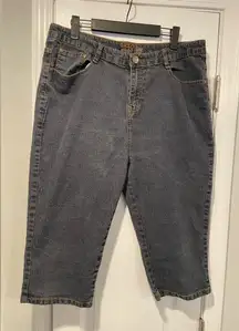 Gazoz Size 16 Embroidered Pocket Zip Up Ramie Cotton Stretch Cropped Jeans