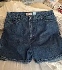 Vintage Jean Shorts