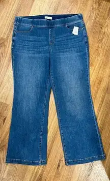 Lane Bryant size 22R Pull-On Jean Woman’s Blue Jeans Plus Size NWT