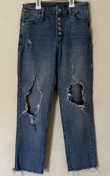 Wild Fable Blue Distressed Boyfriend Jeans