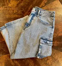 Wild Fable Skirt Denim