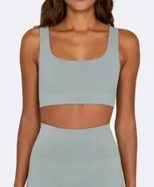 SET Active Sculptflex Power Ribbed Sports Bra Bike Short Set Muted Blue Large