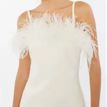 COPY - Elegant White Feather Trim Dress