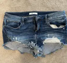 Willow & Root Jean Shorts