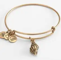 Alex and Ani Conch Shell Gold Bracelet