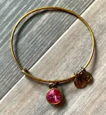 Alex & Ani birthstone bracelet