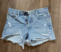 AGOLDE Parker Denim Jean Shorts