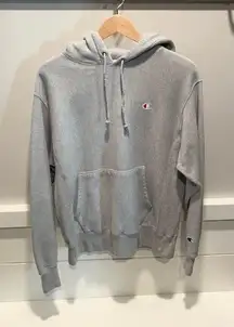 Reverse Weave Hoodie