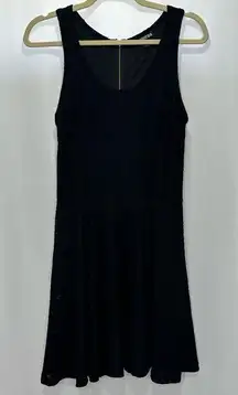 Express Black Lace Fit and Flare Mini Dress