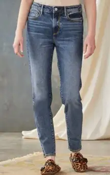 Driftwood Size 28 Gizelle Classic Fit Girlfriend Denim Jeans