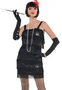 Flapper 1920’s Black Fringe Costume Halloween