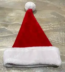 Christmas Santa Unisex Adult Plush Hat OneSize