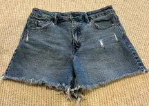 Unpublished Denim Cut-off Shorts size 28