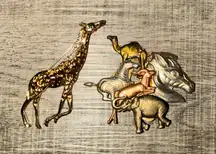 Wild Animal Brooches Giraffe Elephant Zebra Camel Antelope Zoo