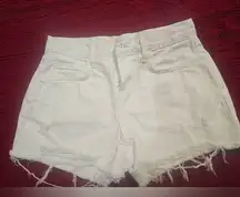 L AGENCE  Denim Women's Shorts