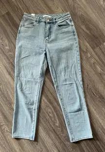 PacSun Light Wash Straight Leg Women's Jeans