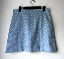 Zara Light Blue with Mint Green Polka Dots Mini Skirt L NWT