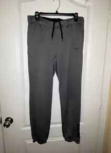 Nike Grey Metallic Sweatpants