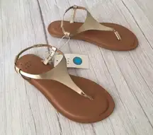 Gold Sandals, Size 6