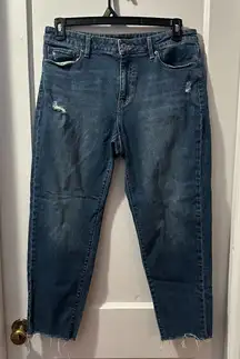 Uniqlo Denim Jeans in 29