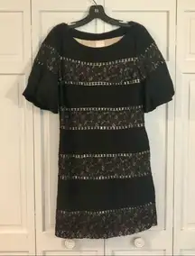 Tracy Reese  lace trim ruffle sleeve dress size 6