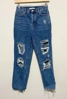 PacSun High Rise Straight Distressed Jeans 25