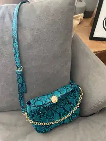 Snakeskin Purse