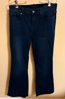 7 for All Mankind Dark Wash Dojo Jeans