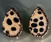 Teardrop Shaped Cheetah Print Earrings