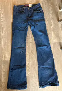 Cinch Lynden Trouser Jeans