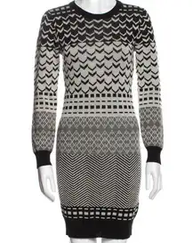 Opening Ceremony  Fleece Wool Sweater Dress