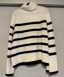 Striped Turtleneck sweater