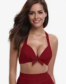 NWT! Shekini Vintage Maroon Tringle Bikini Top XL